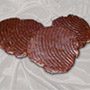 Marokánky