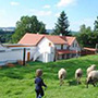 Světce - Andělský dvůr