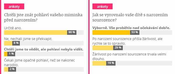 Ankety
