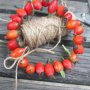 Věneček ze šípků