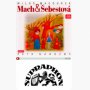 Audiokniha Mach a Šebestová - vypráví Petr Nárožný