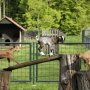 Častlovice - Minizoo