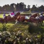 Pardubice - Velká pardubická 2016