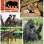 ZOO Dvůr Králové - dětská vstupenka