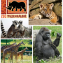 ZOO Dvůr Králové - dětská vstupenka
