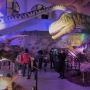 České Budějovice - dinosauři - expedice druhohor