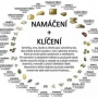 Namáčení a klíčení