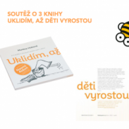 Soutěž o 3 knihy Uklidím, až děti vyrostou