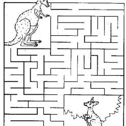 medium-maze-kangaroo.jpg