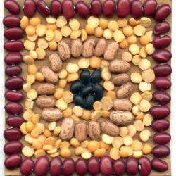 Bean-Mosaic.jpg