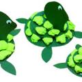 Roztomilé želvičky
