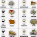 Sýr a vínko