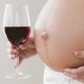 Alkohol v těhoteství