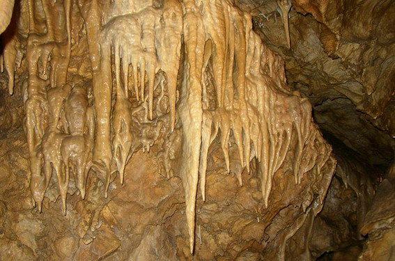 bozkovske-dolomitove-jeskyne-408.jpg