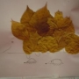 ježeček z listů