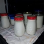 DOMÁCÍ JOGURT