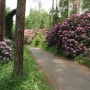 Arboretum Nový Dvůr