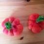 Dýně