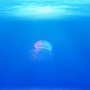 Světový den oceánů