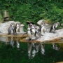 ZOO Zlín a zámek Lešná
