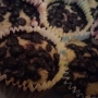 Muffiny z banánu s borůvkami