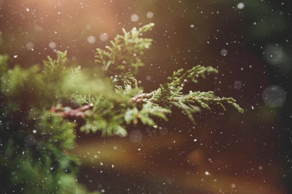 Přípravy na první adventní neděli vrcholí! ?
