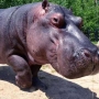 Čarodějnice v Zoo Dvorec 2026
