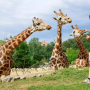 Prázdniny končí v Zoo Jihlava 2026