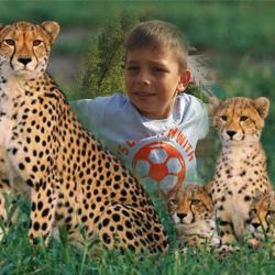 cheetah -liz- - 1gHFv-15o - print.jpg