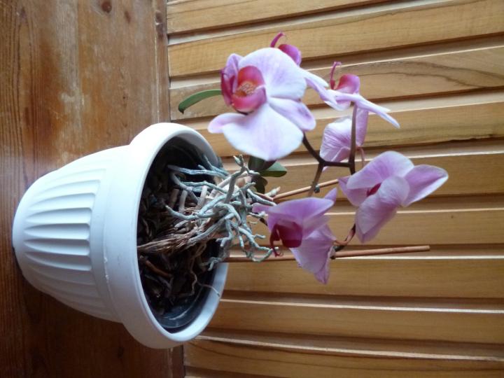 umělá květina orchidej růžová.JPG