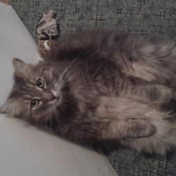 20170510_101428.jpg