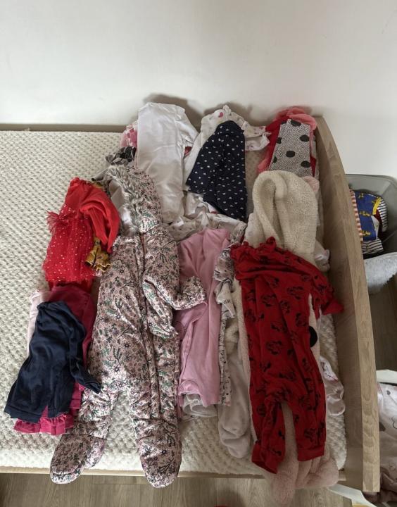 IMG_2767.jpeg