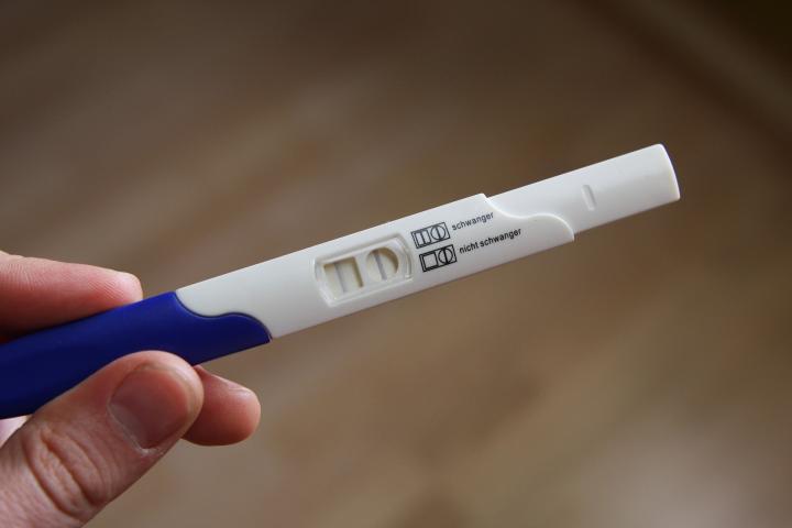 6. týden těhotenství