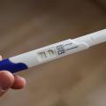 6. týden těhotenství