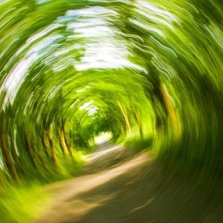 Obrázek uživatele kalhh z Pixabay.com