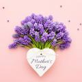5 tipů, jak udělat mamince radost v Den matek