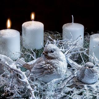 Fotka od Myriam Zilles z Pixabay 