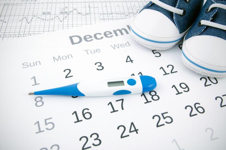 Ovulační kalendář a testy
