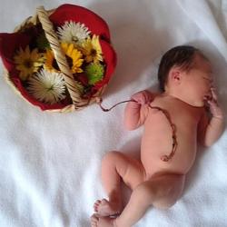 Placenta - význam v těhotenství i po porodu