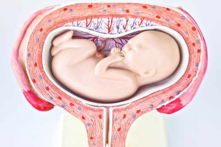Poloha miminka v děloze a její vliv na porod