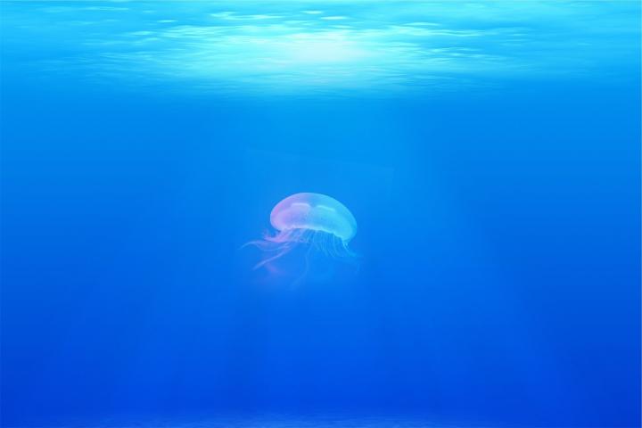 světový den oceánů