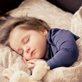 Foto uživatele ddimitrova z Pixabay.com