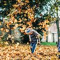 Tvoření z kaštanů a listí: Podzimní zábava, kterou si děti zamilují