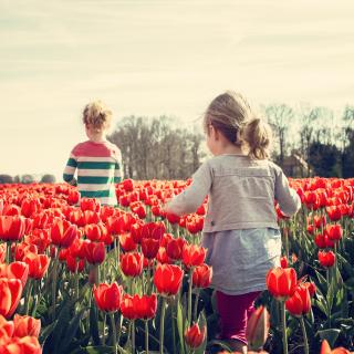 Foto z Pexels.com