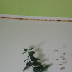20151120_183044.jpg