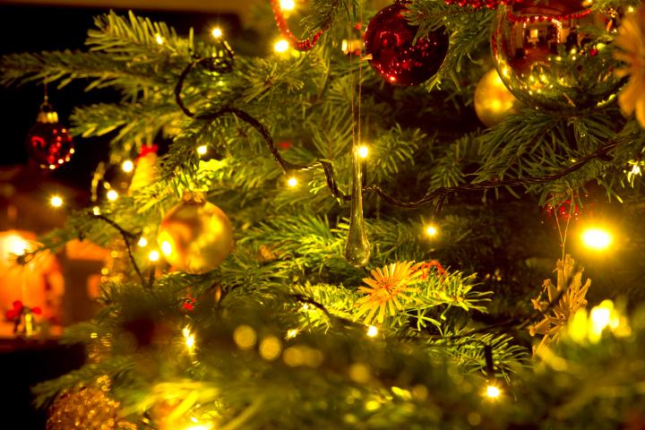 Vánoční stromy a stromečky