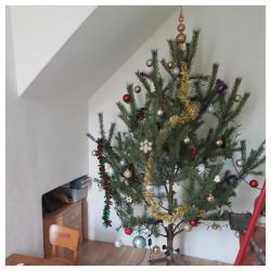2017-12-24_13.54.34.jpg