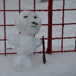DSC_0566.JPG