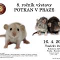 8. ročník výstavy Potkan v Praze