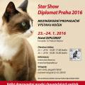 Praha - Mezinárodní propagační výstava koček Star show Diplomat Praha 2016